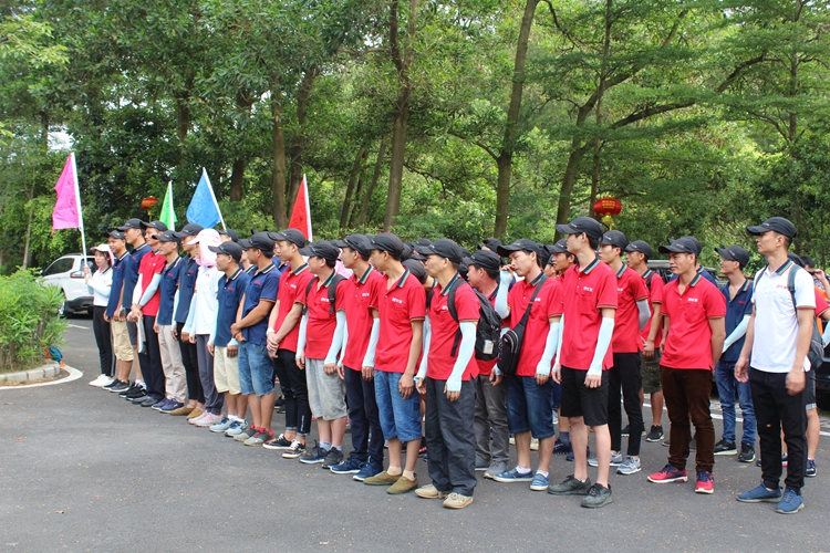 拉伸纏繞膜廠家